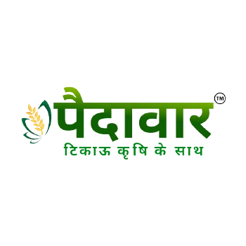 Paidavaar